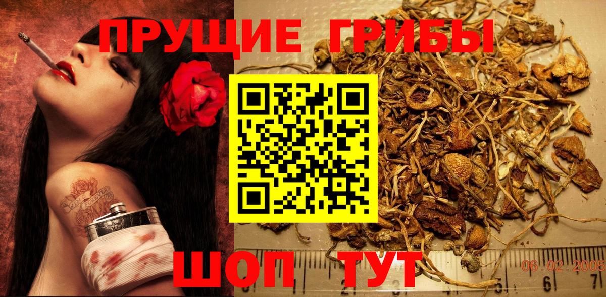 Сердобск  Галлюциногенные грибы Magic Shrooms  дарнет шоп  Вход с VPN 